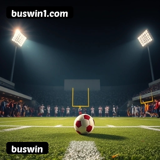 Níveis do programa VIP da buswin